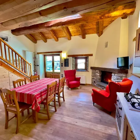 La Mizoun De Marguerito - Rododendro